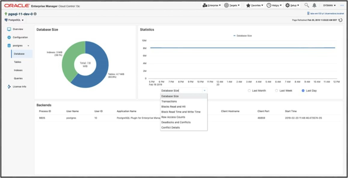 Database dashboard — per-database backends, growth trends, and deadlock tracking